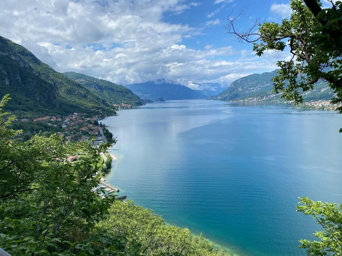 Le Terrazze Sul Lago Di Como Oliveto Lario Apartment